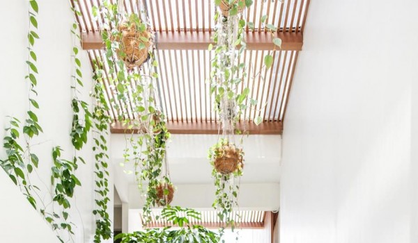 Giải pháp “xanh” hóa trong thiết kế không gian nội thất Giải pháp “xanh” hóa trong thiết kế không gian nội thất